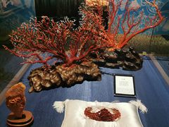 -绮丽珊瑚(台北101旗舰门市店)