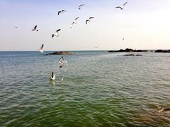 -海合安青岛极地海洋公园