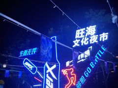 -海河游船(古文化街码头)