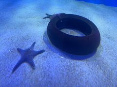 -太平洋海底世界