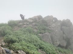 -银瓶嘴森林公园