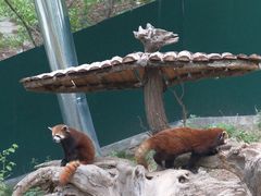 -大连森林动物园