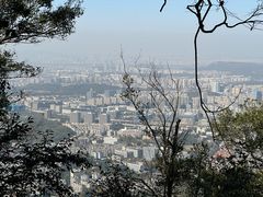 -紫金山山顶公园