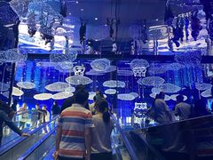 -盒马X会员店(上海森兰商都店)