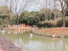 -上海野生动物园