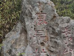 -长虫山生态公园风景林