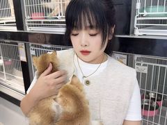 -翊宠yipet猫狗购宠庄园犬舍•猫舍