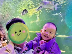 -华夏文旅海洋公园