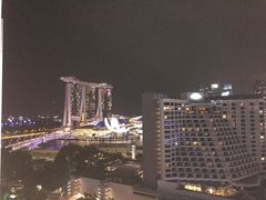 -新加坡泛太平洋酒店