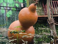-呀路古热带植物园
