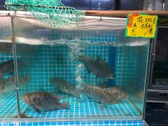 -石岐乳鸽村(南海第三分店)