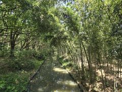 -同里国家湿地公园