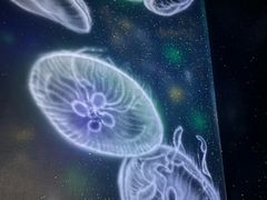 -芭提雅3D美术馆