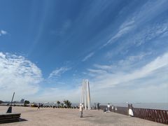 -上海滨江森林公园
