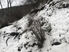 -太子岭滑雪场