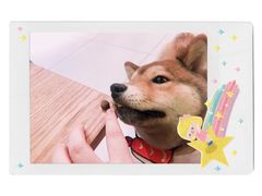 -柴务处·柴犬主题狗咖