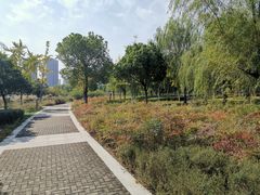 -九里河湿地公园