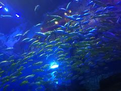 -华夏文旅西安度假区