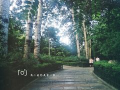 -西安市长乐公园