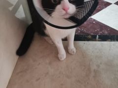 -圣宠动物医院·犬猫专科·影像中心·外科中心