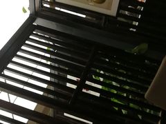 -芙蓉凰花园酒楼