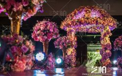 -保定金沙芝柏婚礼策划