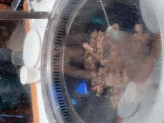 -五谷虫子鸡(医学院店)