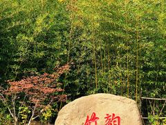 -竹子庵公园