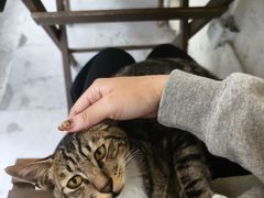 -绿小院(荔湾店)