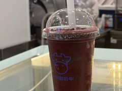 -一只酸奶牛(洪崖洞11楼店)