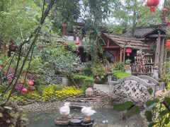 -青城甲(青城山店)