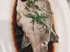 清蒸鲈鱼-大鸭梨烤鸭(枣园店)
