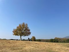 -钟山体育运动公园