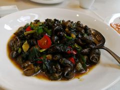 紫苏蒸山坑鱼-品泉餐厅·大盆鱼·走地鸡