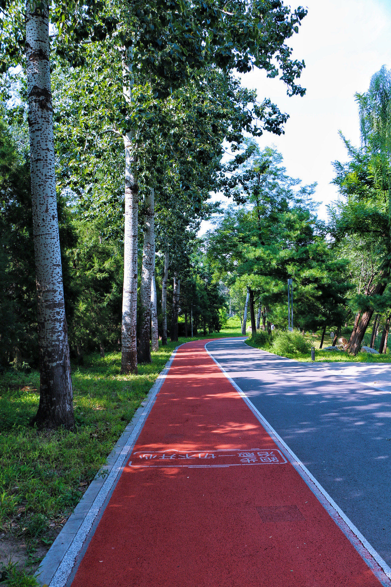 夏末秋初,微风清凉,自然界的绿意还在