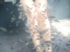 -天目湖御水温泉·度假酒店