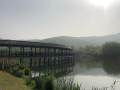 -石塘人家