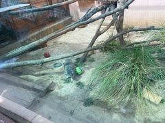 -青藏高原野生动物园