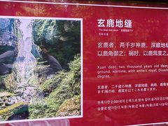 -鹿院坪生态旅游景区