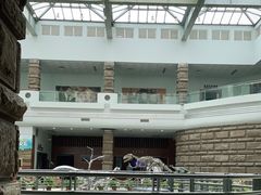 -自贡恐龙博物馆