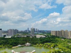 -桐乡植物园