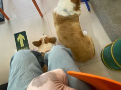 -平行世界·猫咖(首经贸店)