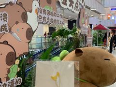 -凯德MALL(西直门店)