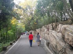 -富乐山