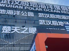 -海合安武汉极地海洋公园
