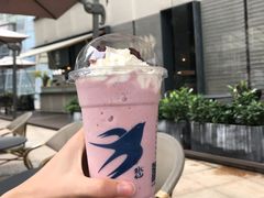 -BeauTea水仙(coco park店)