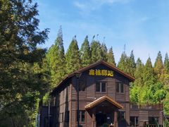 -黄海国家森林公园