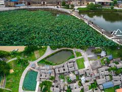 -苏家围·东江画廊旅游景区