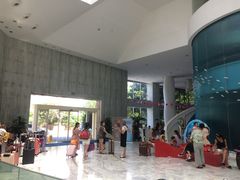 -深圳东部华侨城瀑布酒店