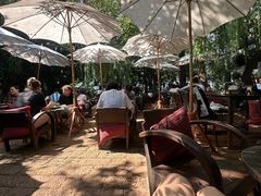 -Fern Forest Cafe